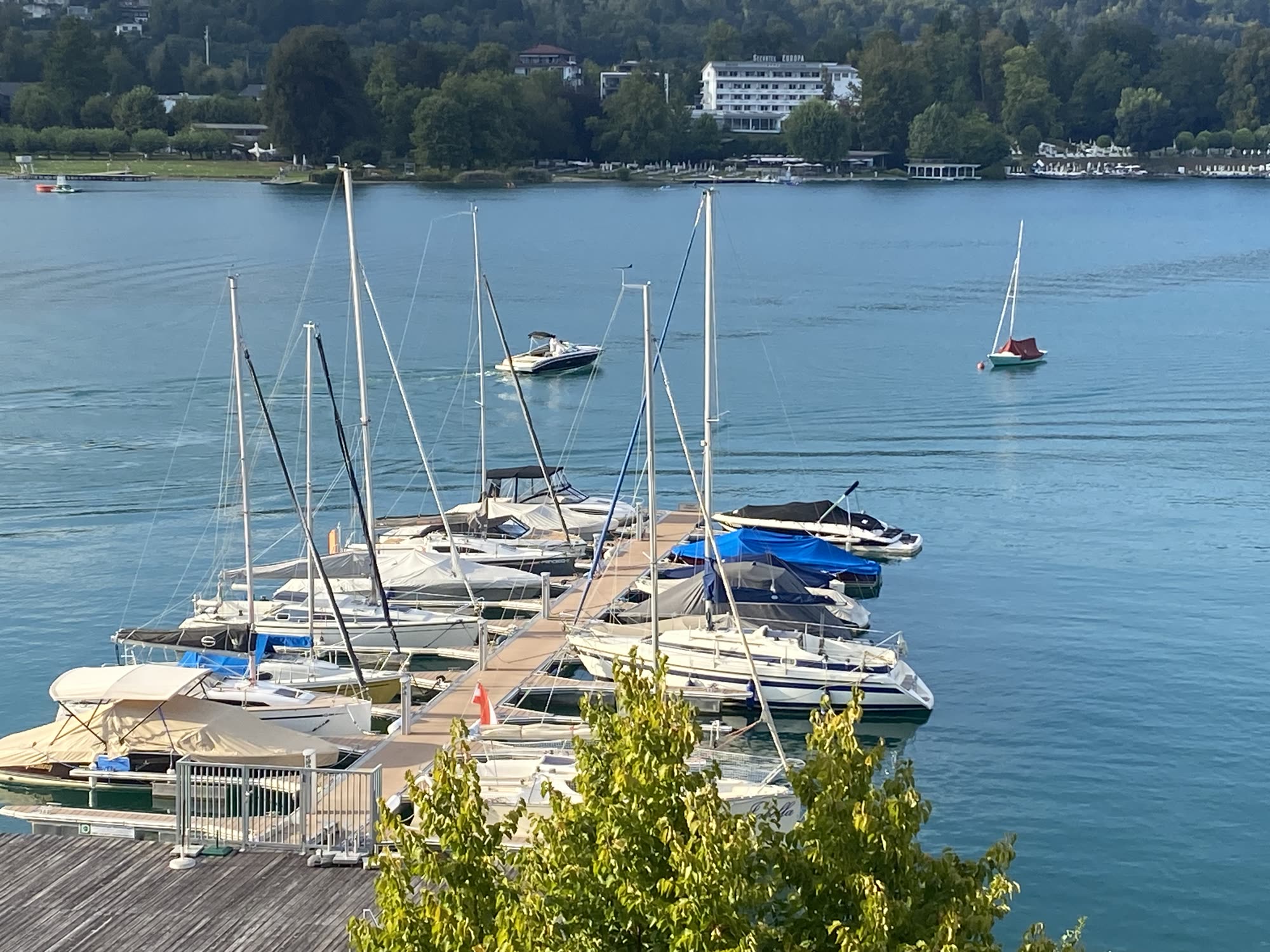 Segelboote an einem Steg an einem Kärntner Badesee im Sommer